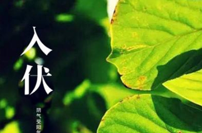 入伏在即，酷暑將至